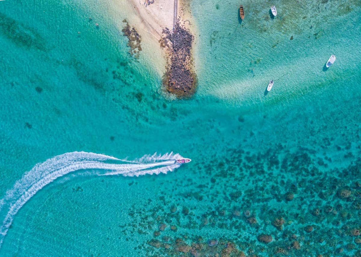 Sunrise Fishing and Charter
