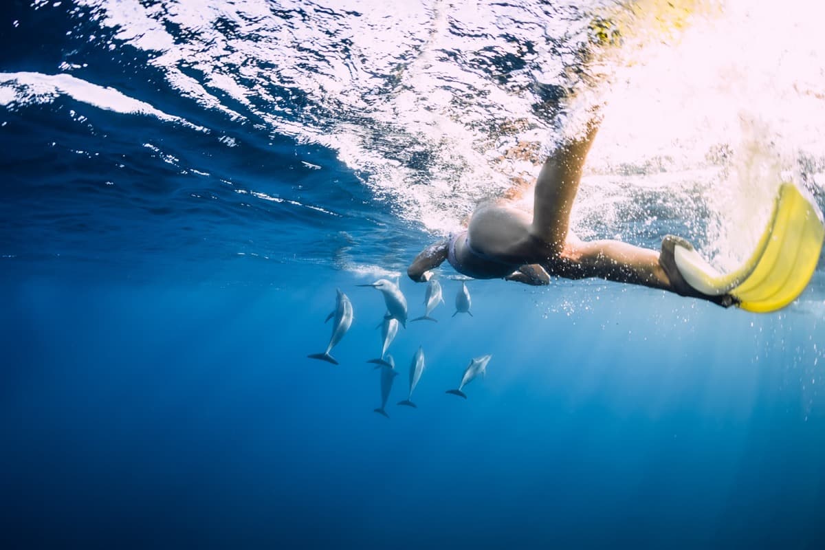 Evasion Charter Mauritius