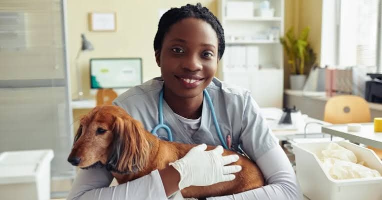 Myvet Flacq