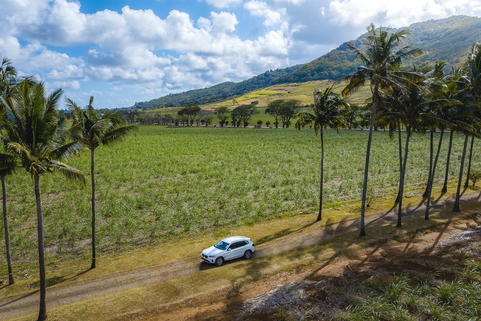 Pingouin Car Rental — Car Hire in Mauritius