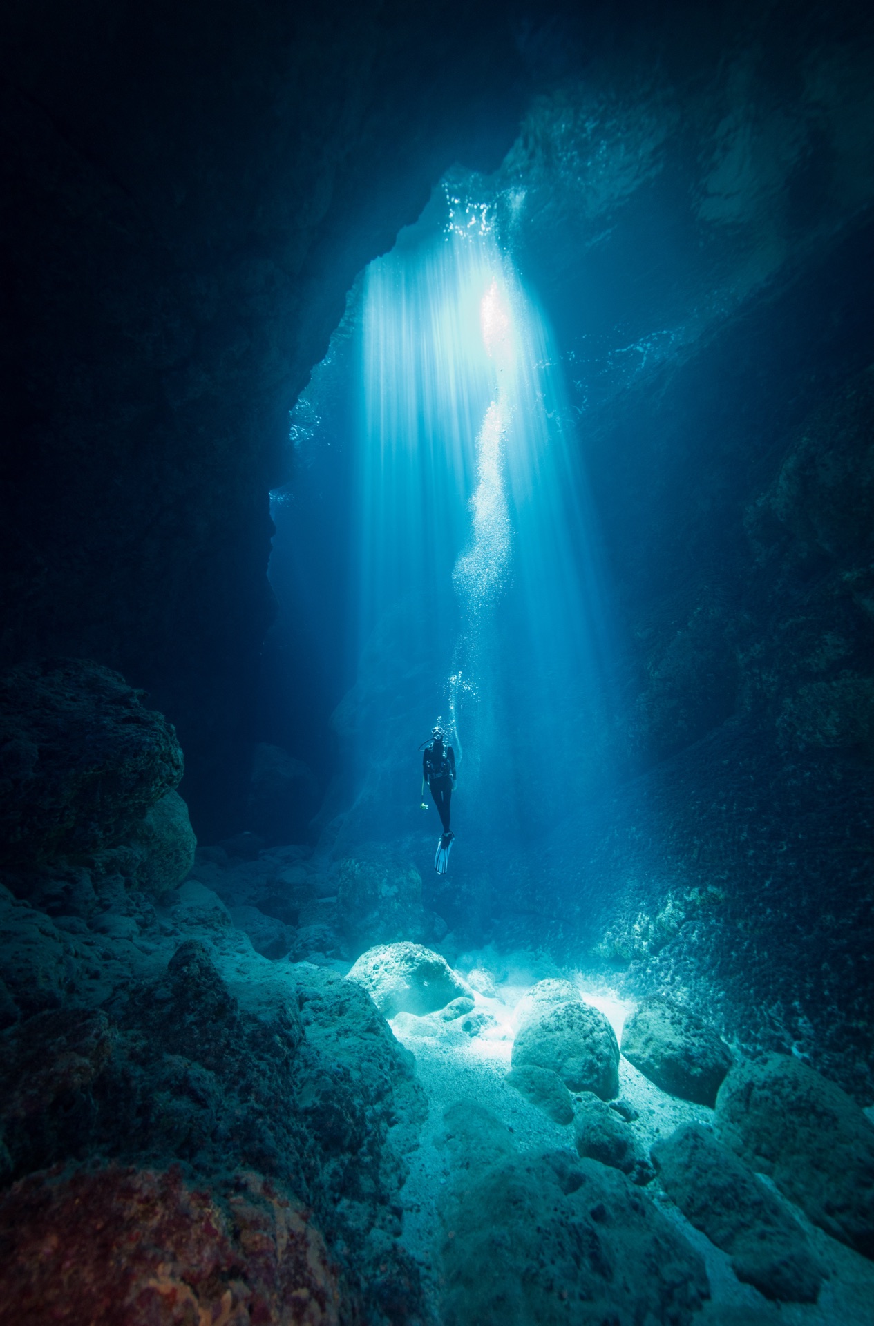 Scuba Diving